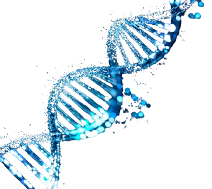 PLAVA_DNA_helix_web